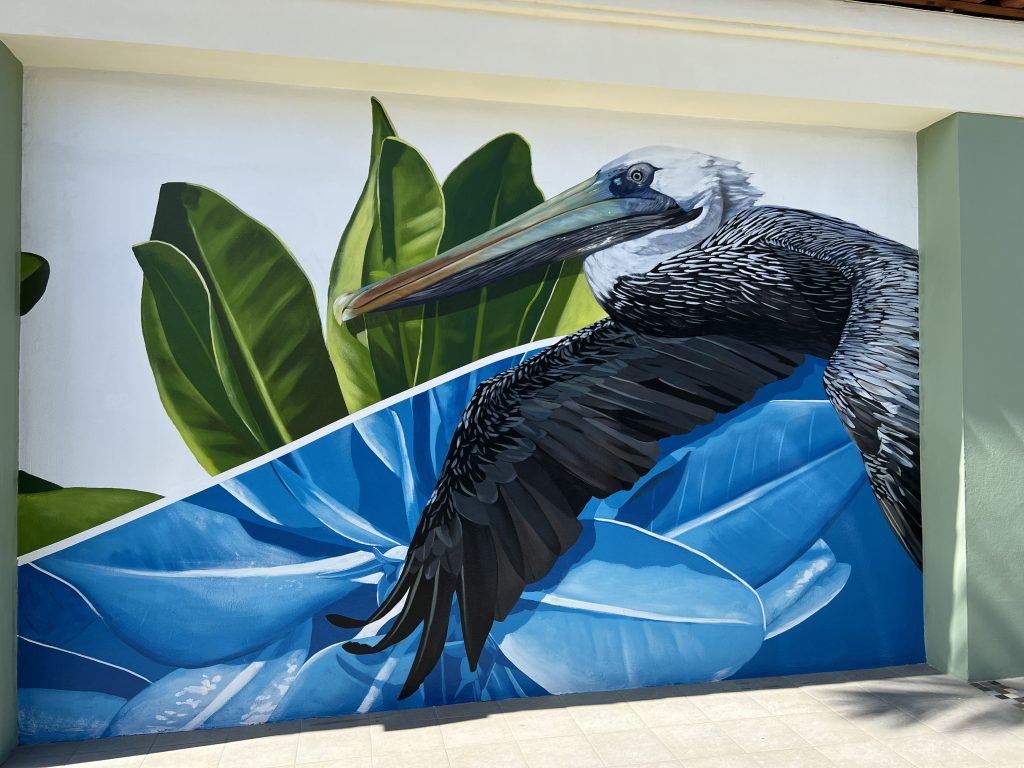 Armando Goedgredrag Sea Bird Mural — One Day in Aruba Cruise Port on Symphony of the Seas