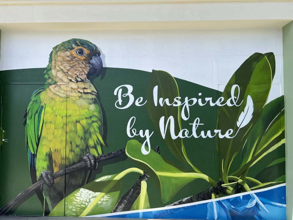 Armando Goedgredrag Bird mural — One Day in Aruba Cruise Port on Symphony of the Seas