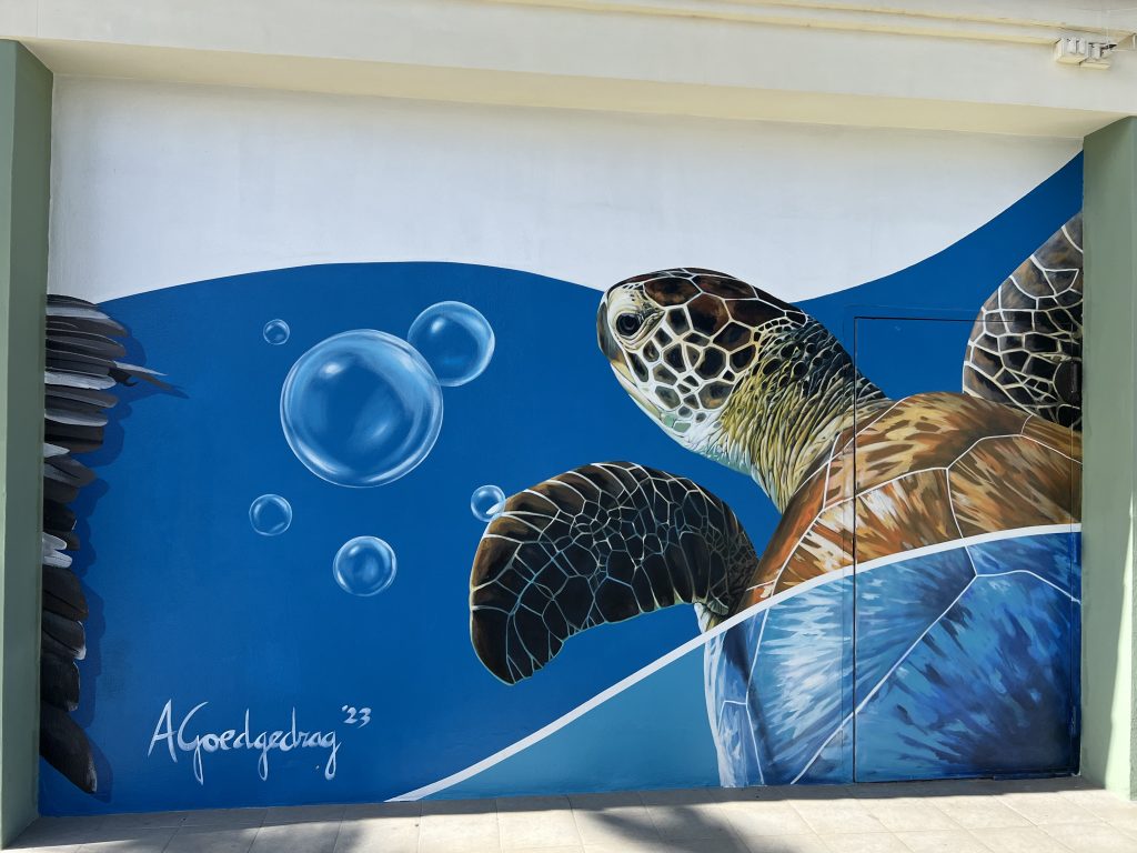 Armando Goedgredrag Turtle mural — One Day in Aruba Cruise Port on Symphony of the Seas