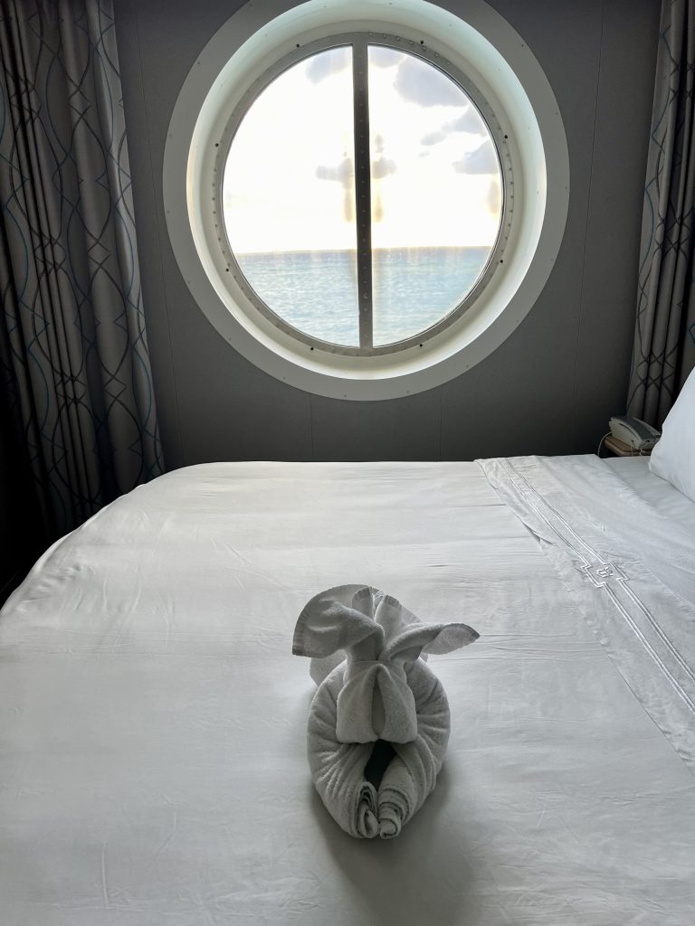Towel Animal in Oceanview Cabin on Symphony of the Seas

