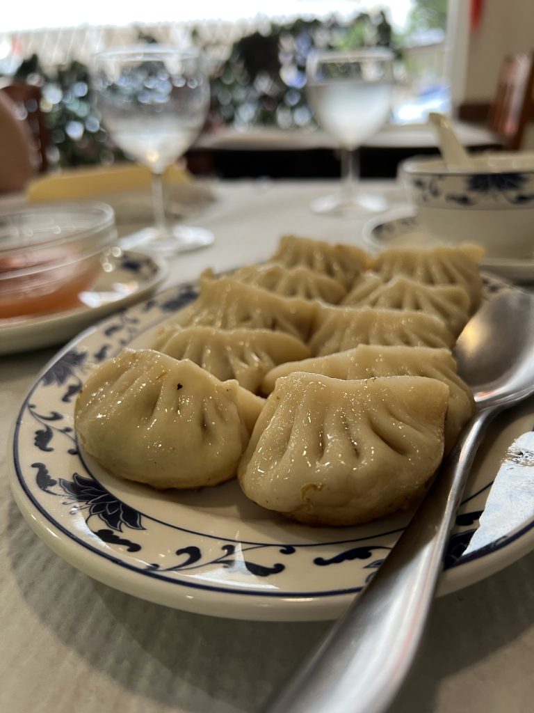Close up of dumplings at at Restaurante Chinês Long Xing in Armação de Pêra, Portugal