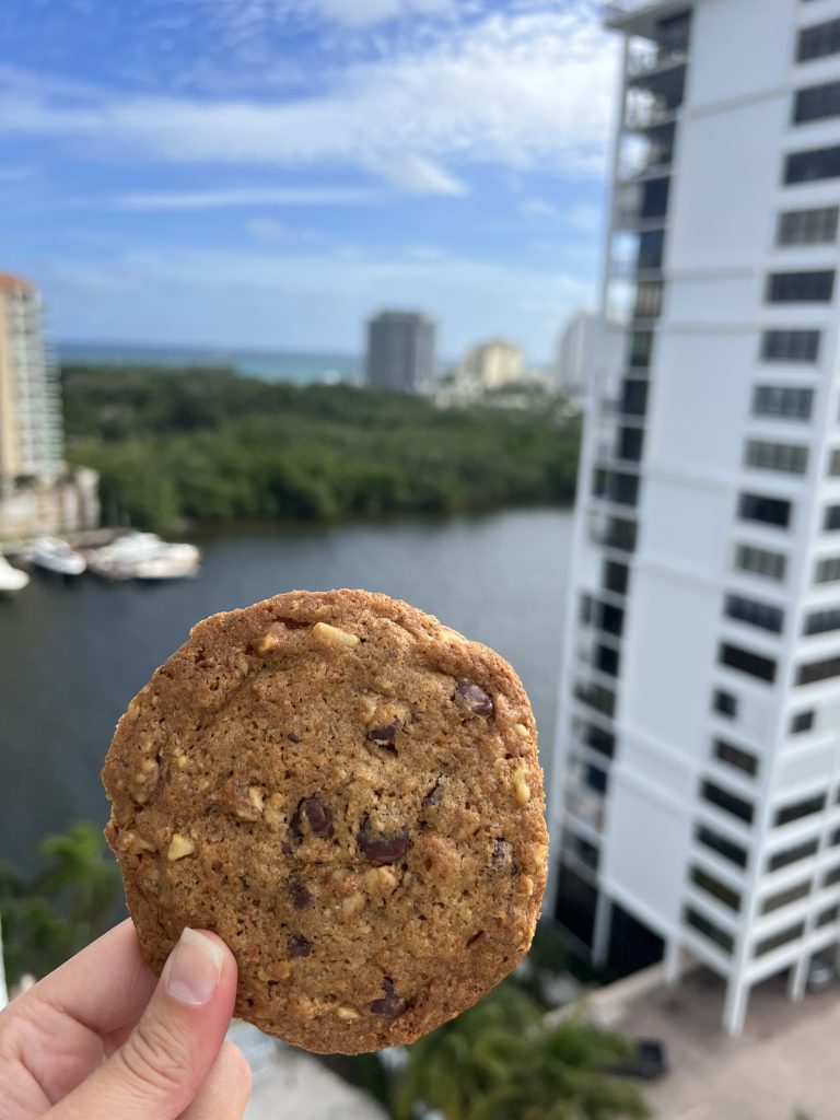 DoubleTree Cookie outside Fort Lauderdale Cruise Hotel Review — GalleryOne DoubleTree Suites by Hilton