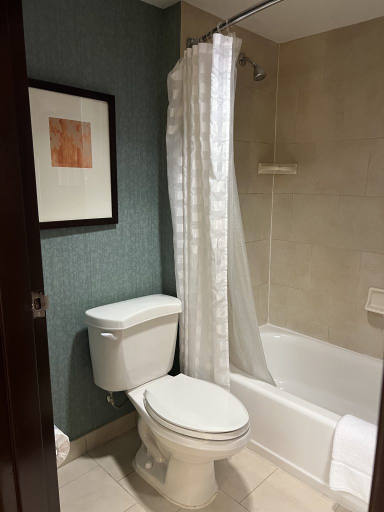 Toilet and Shower — Hyatt Place Fort Lauderdale Cruise Port Hotel Review