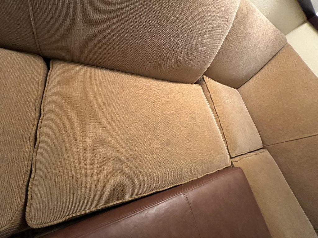 Soiled Couch — Hyatt Place Fort Lauderdale Cruise Port Hotel Review