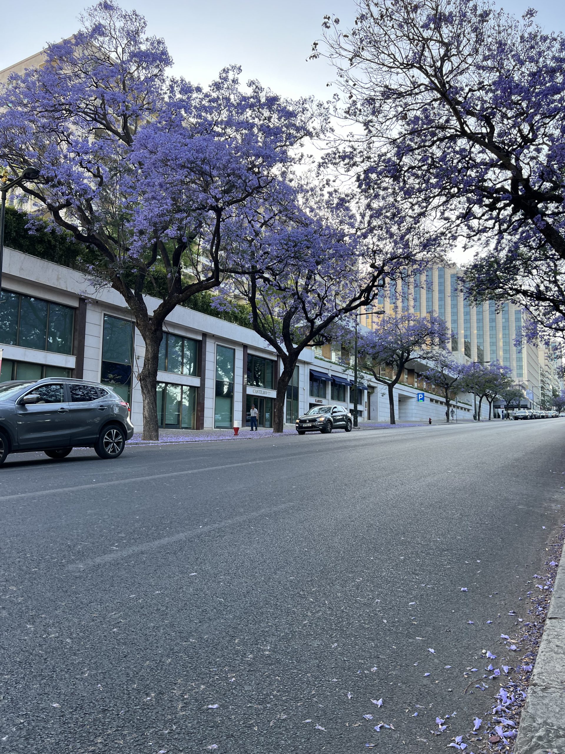 A Spring Weekend in Lisbon, Portugal