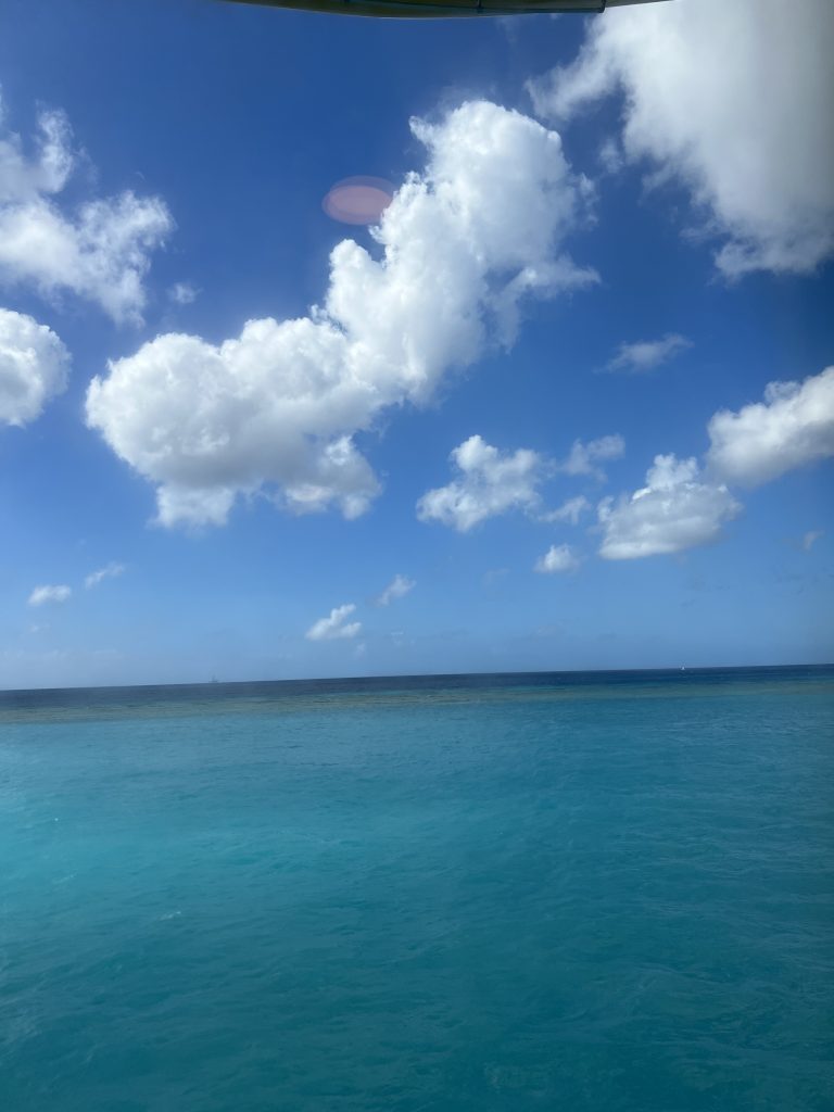 Sea Day — Symphony of the Seas Cruise Blog