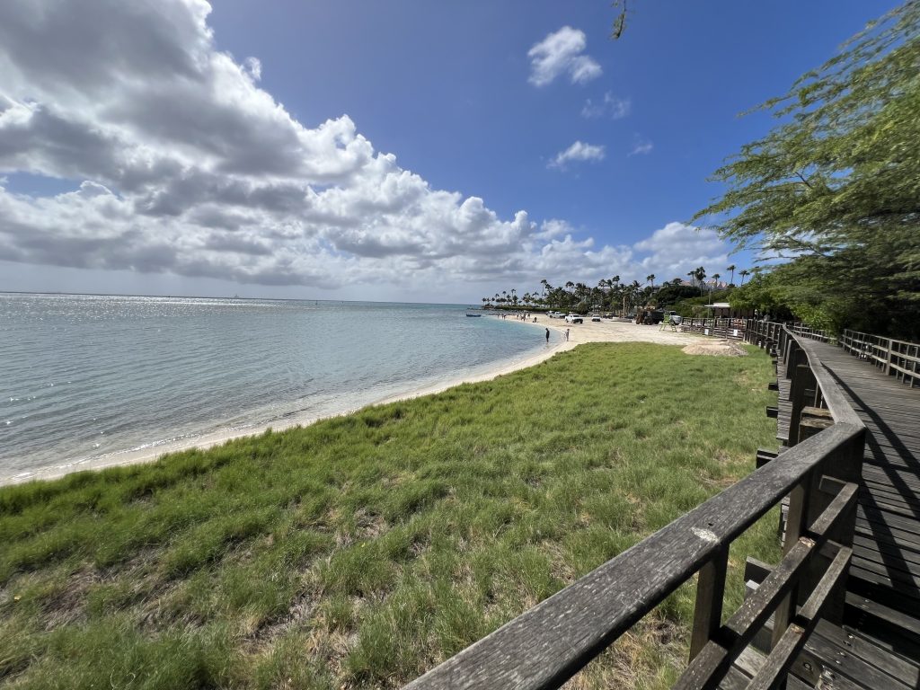 Beaches near port— One Day in Aruba Cruise Port on Symphony of the Seas