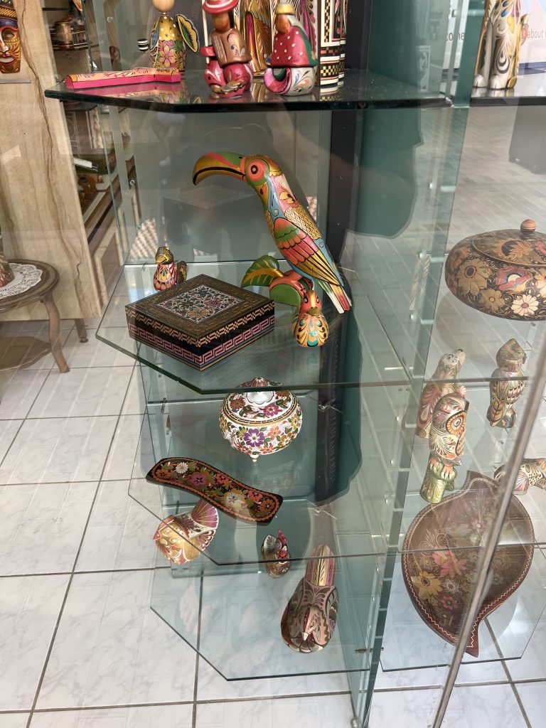 Mopa Mopa Bird — One Day in Aruba Cruise Port on Symphony of the Seas