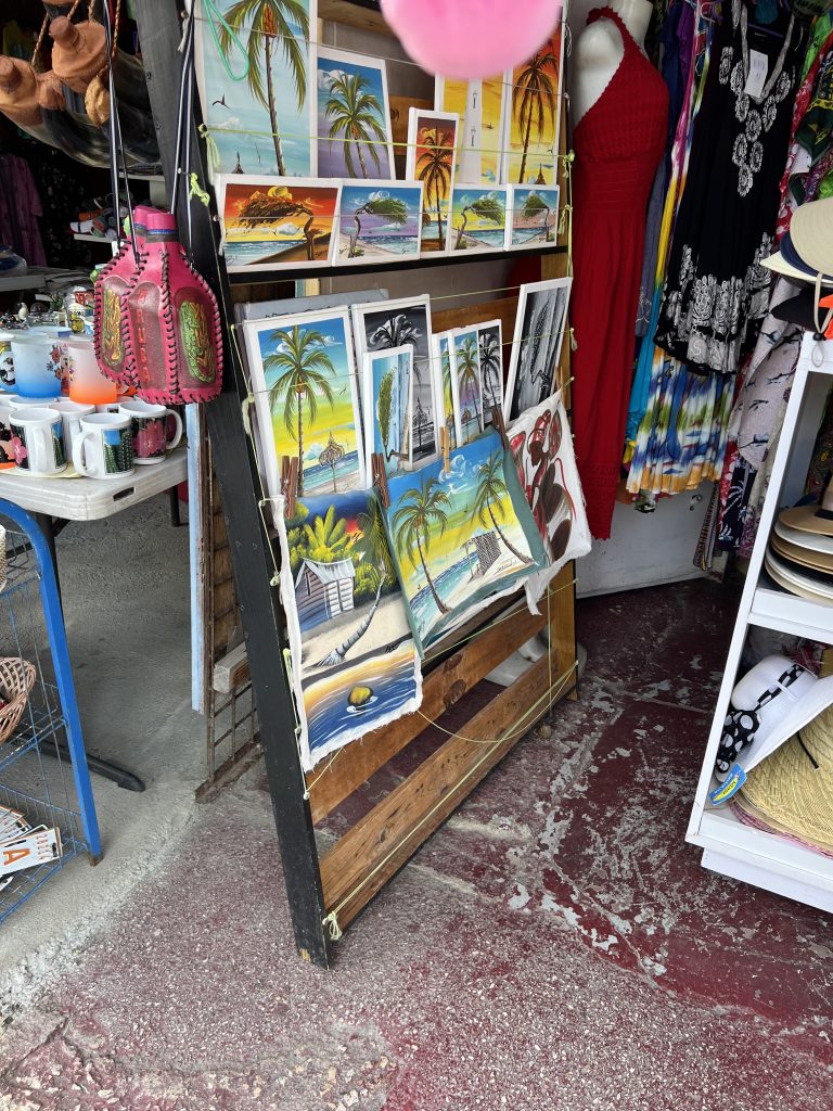 Tropical Paintings — One Day in Aruba Cruise Port on Symphony of the Seas