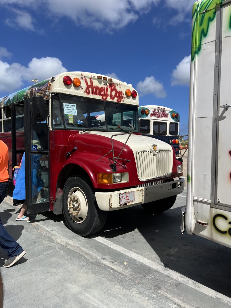 Free Shuttle Bus — One Day in Aruba Cruise Port on Symphony of the Seas