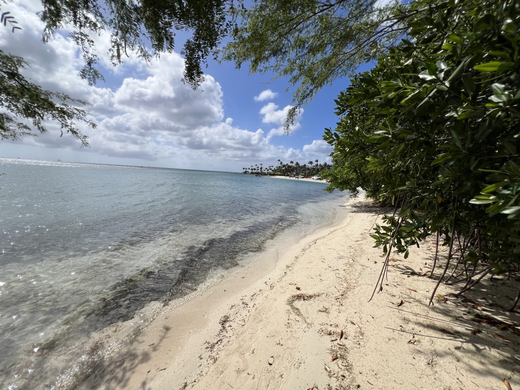 Aruba Beaches in Walking Distance from port— One Day in Aruba Cruise Port on Symphony of the Seas