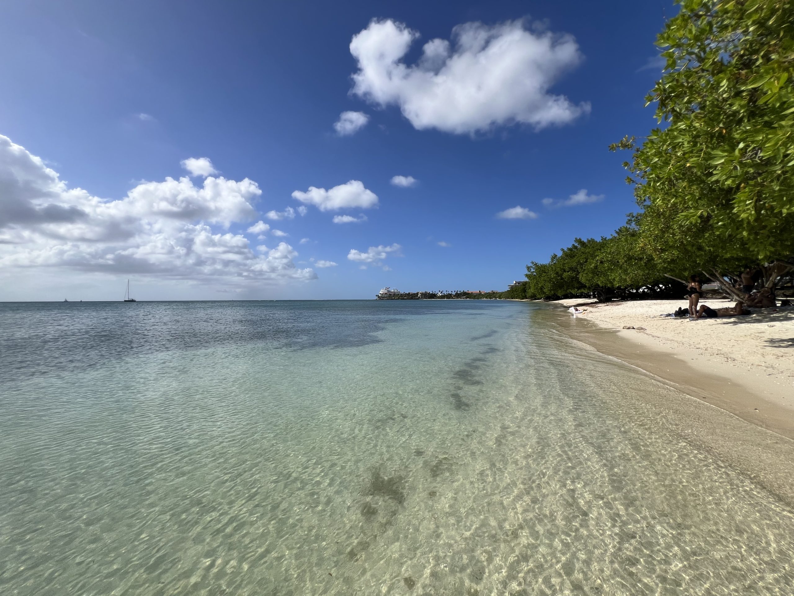 One Day in Aruba on a Cruise — Royal Caribbean Cruise Blog