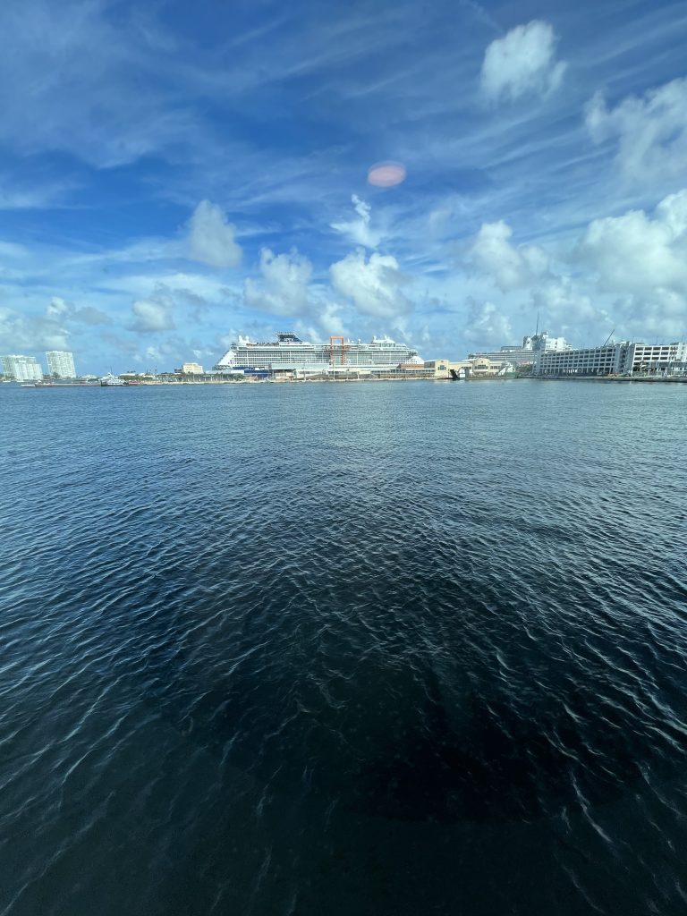 View from Symphony of the Seas Oceanview Cabin 3198