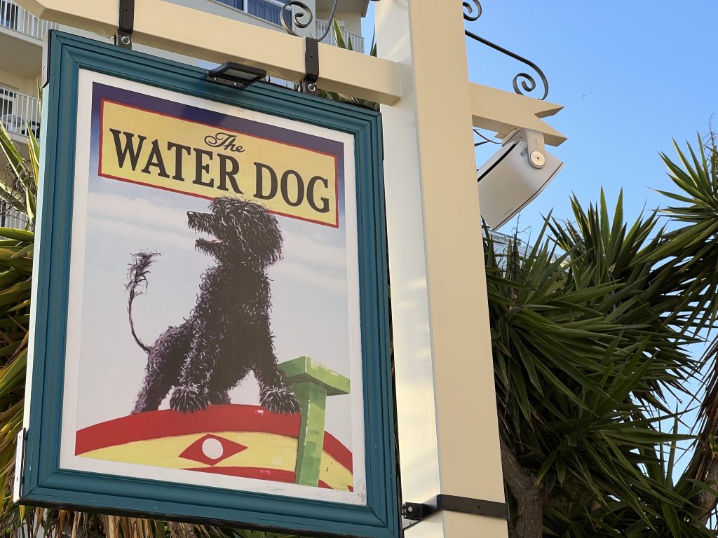 The Waterdog Pub — Armação de Pêra Restaurants
