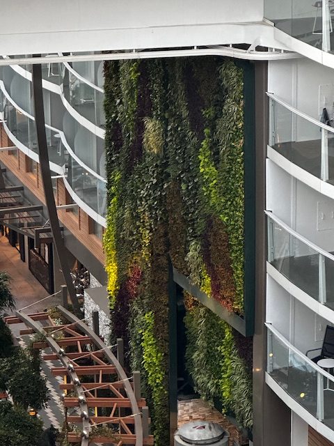 Real Plants on — Utopia of the Seas Review — Cruise UGC Creator