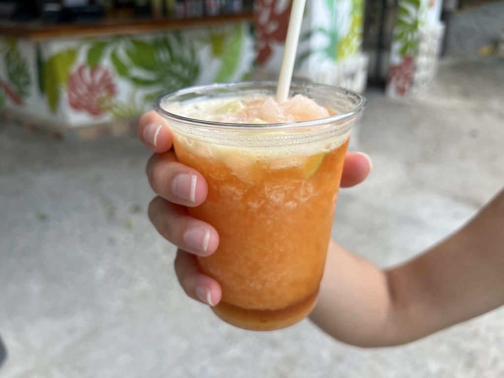 Labadoozie — Labadee Haiti Royal Caribbean Review