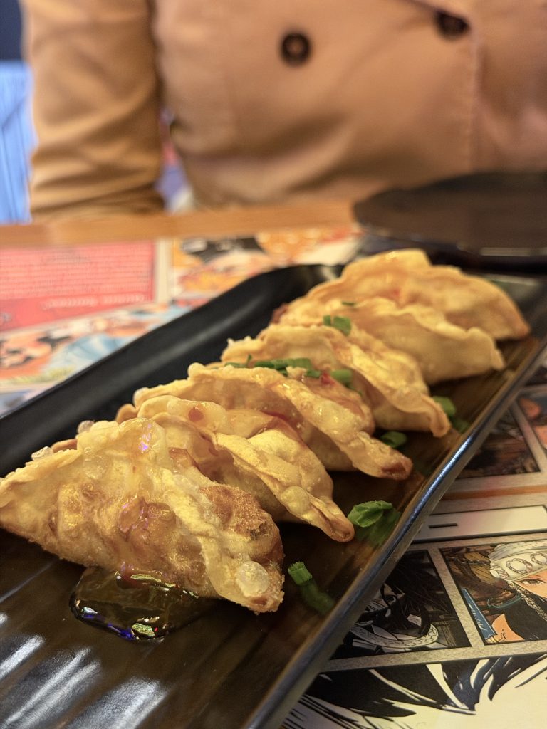 Close up of Fried Gyoza at Shifu Ramen Expo — Lisbon Food Blog Restaurant Reviews