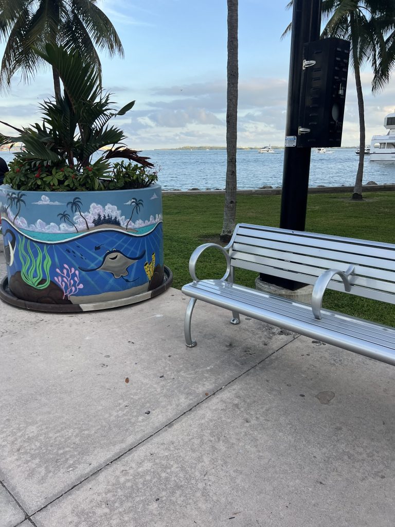 Art by Ariel Celestino Hernandez in Biscayne Bayfront Park Miami, Florida | One Day in Miami Before a Cruise
