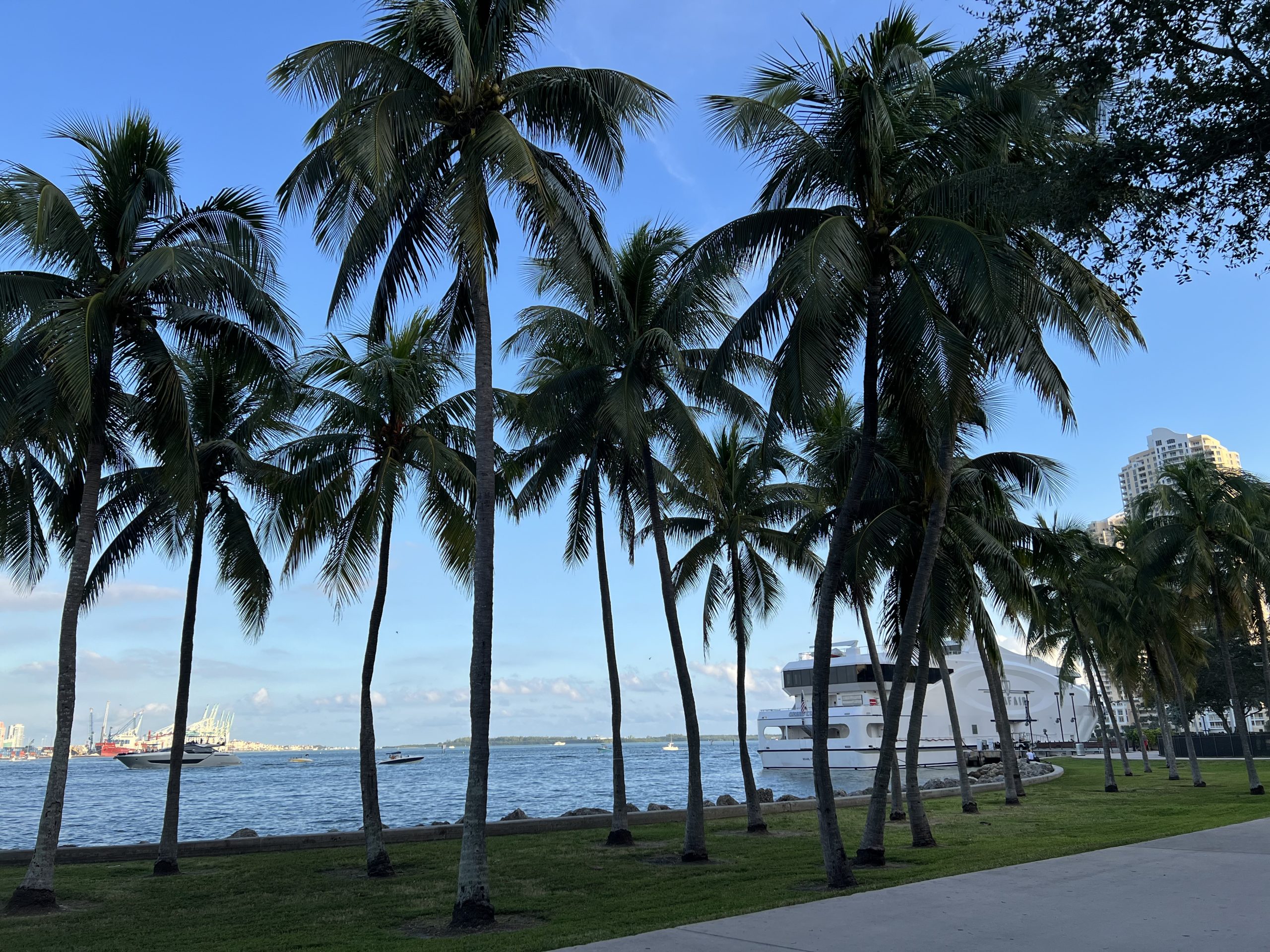 Bayfront Park Miami: Discovering Local Art on a Palm-Tree Lined Waterfront Stroll