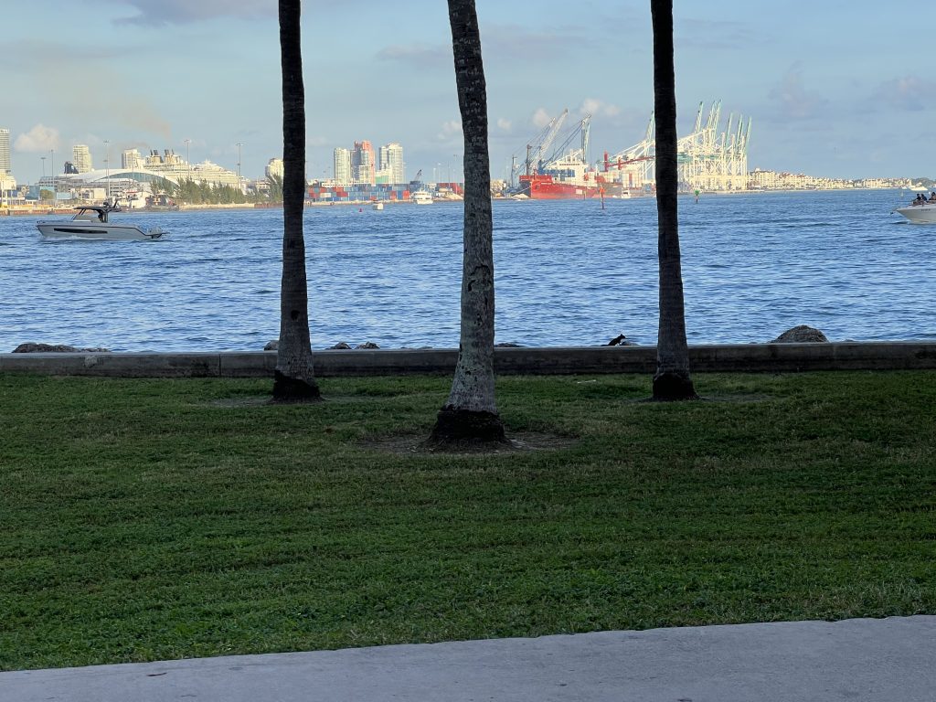 Palm trees and PortMiami view from Biscayne Bayfront Park Miami, Florida | One Day in Miami Before a Cruise