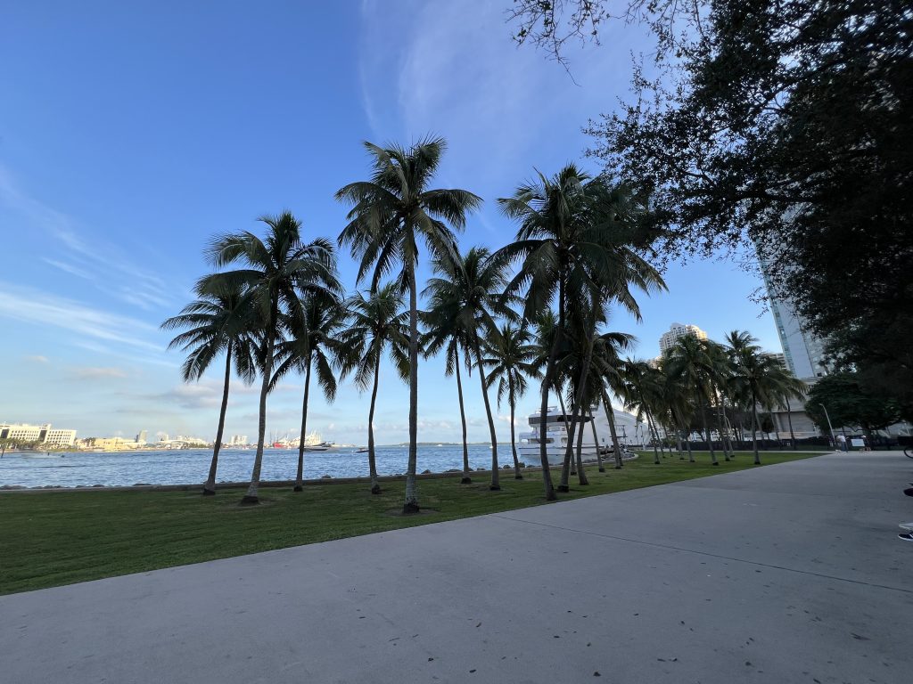 Whispy clouds and palm trees line the shore at Biscayne Bayfront Park Miami, Florida | One Day in Miami Before a Cruise