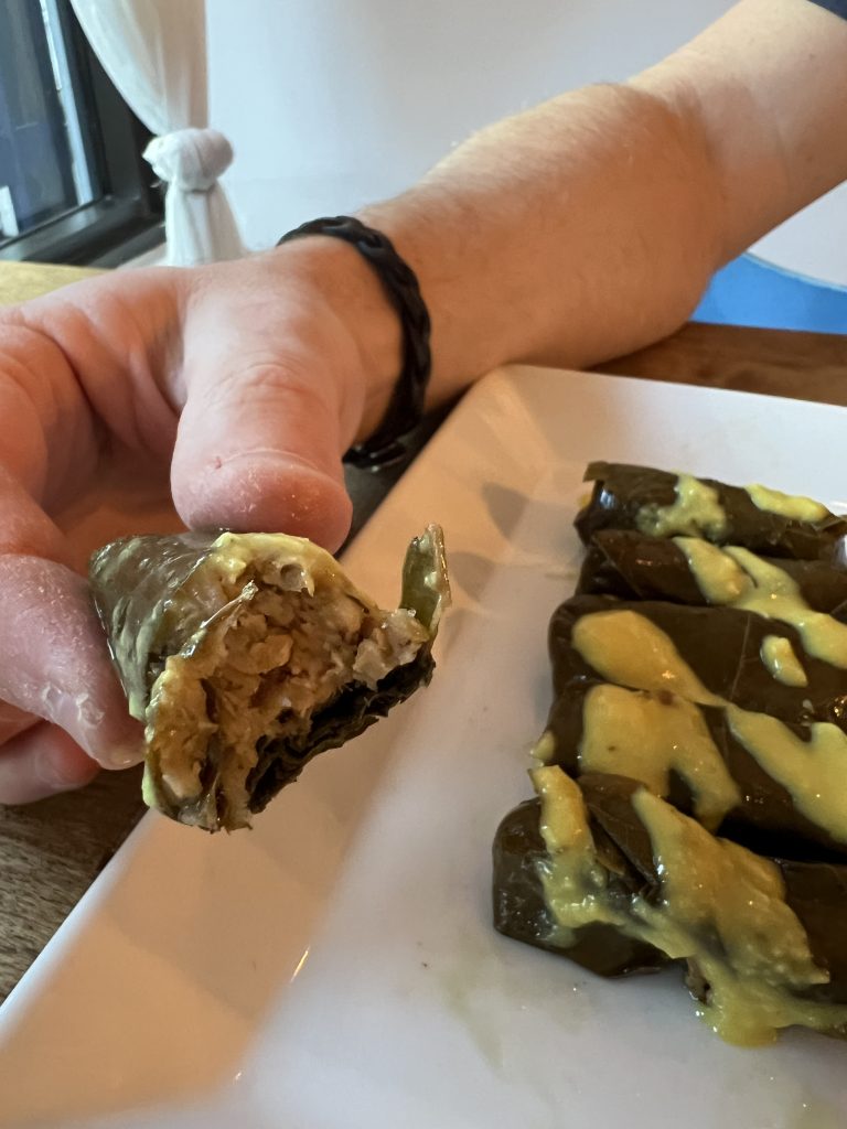 Meraki Greek Bistro Review Photos — Inside Dolmades Stuffed Grape Leaves | Top Miami Happy Hour Restaurant Reviews
