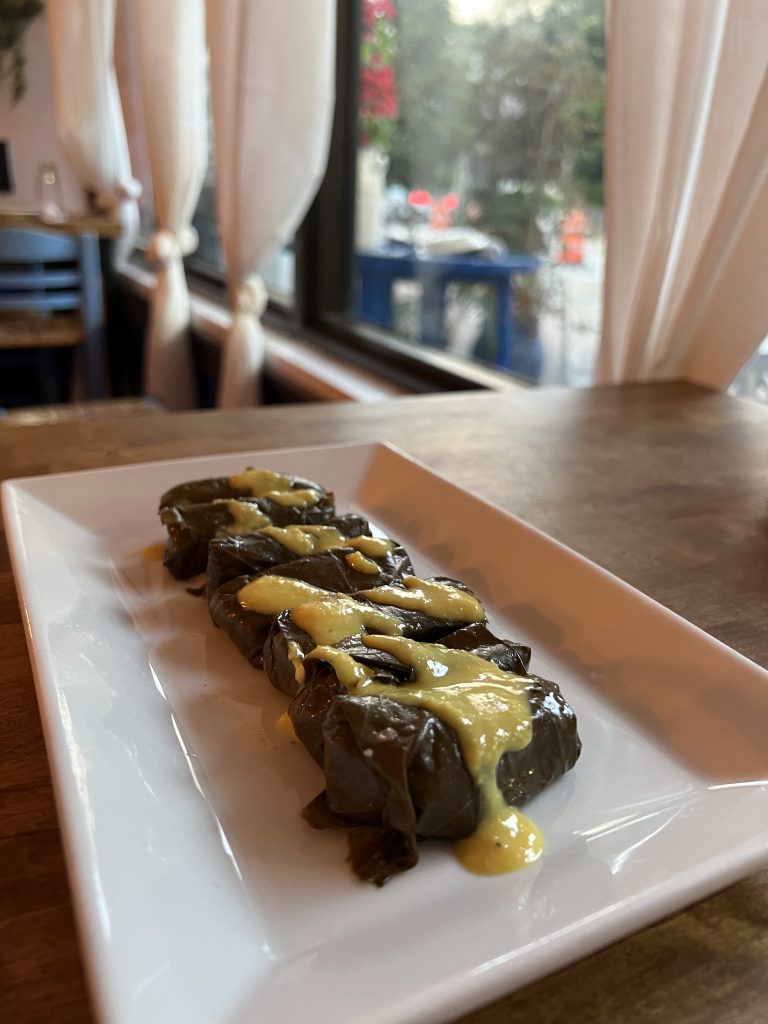 Meraki Greek Bistro Review Photos — Inside Dolmades Stuffed Grape Leaves | Top Miami Happy Hour Restaurant Reviews