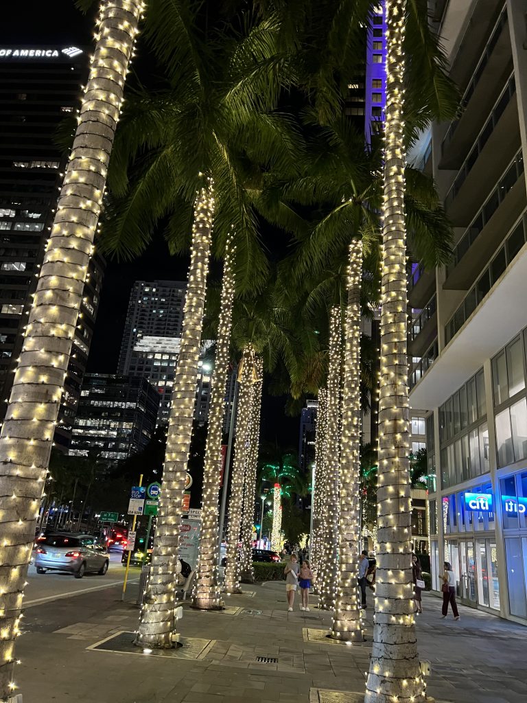 Downtown Miami at Night — Lights on Palm Trees